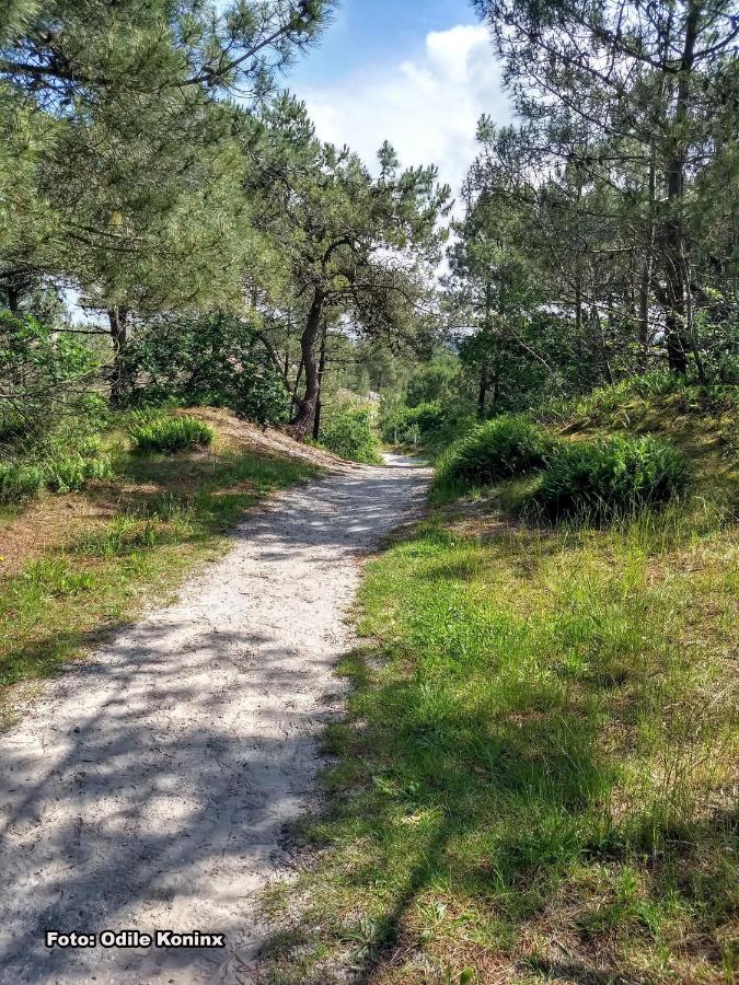 Klein Heemshof - Noord Holland Aan Uw Voeten Villa Warmenhuizen Dış mekan fotoğraf