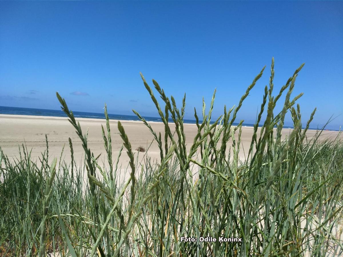 Klein Heemshof - Noord Holland Aan Uw Voeten Villa Warmenhuizen Dış mekan fotoğraf